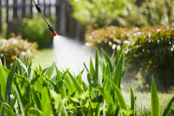 24/7 Emergency Mosquito Control experts in Eastland, TX