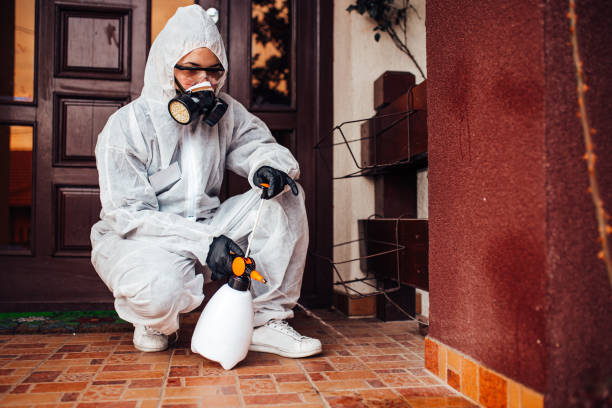Reliable Mosquito Control contractor in Eastland, TX by Show Me Pest Control